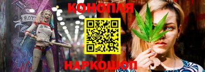 трава Кингисепп