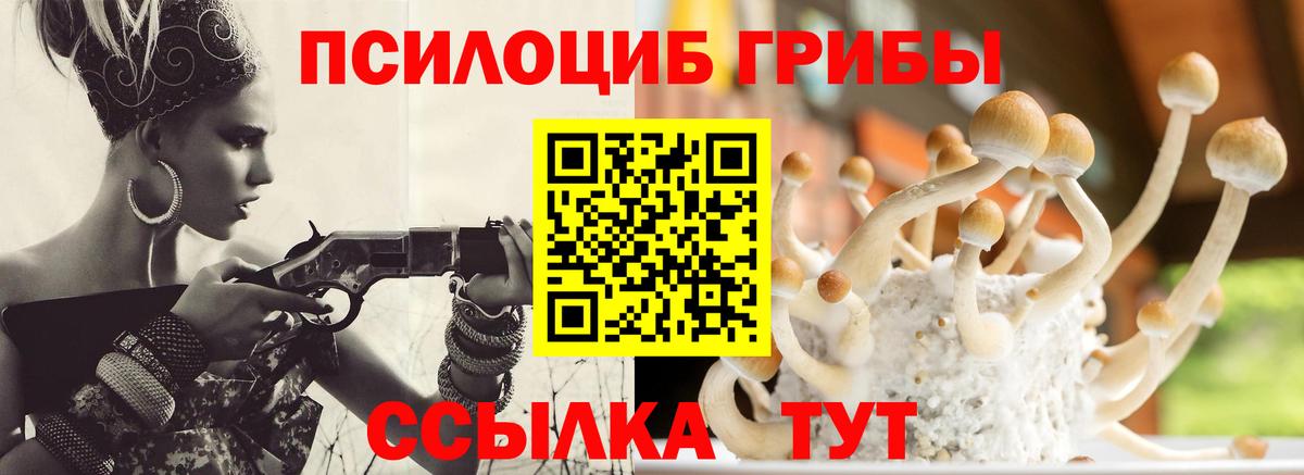 Галлюциногенные грибы Cubensis Якутск